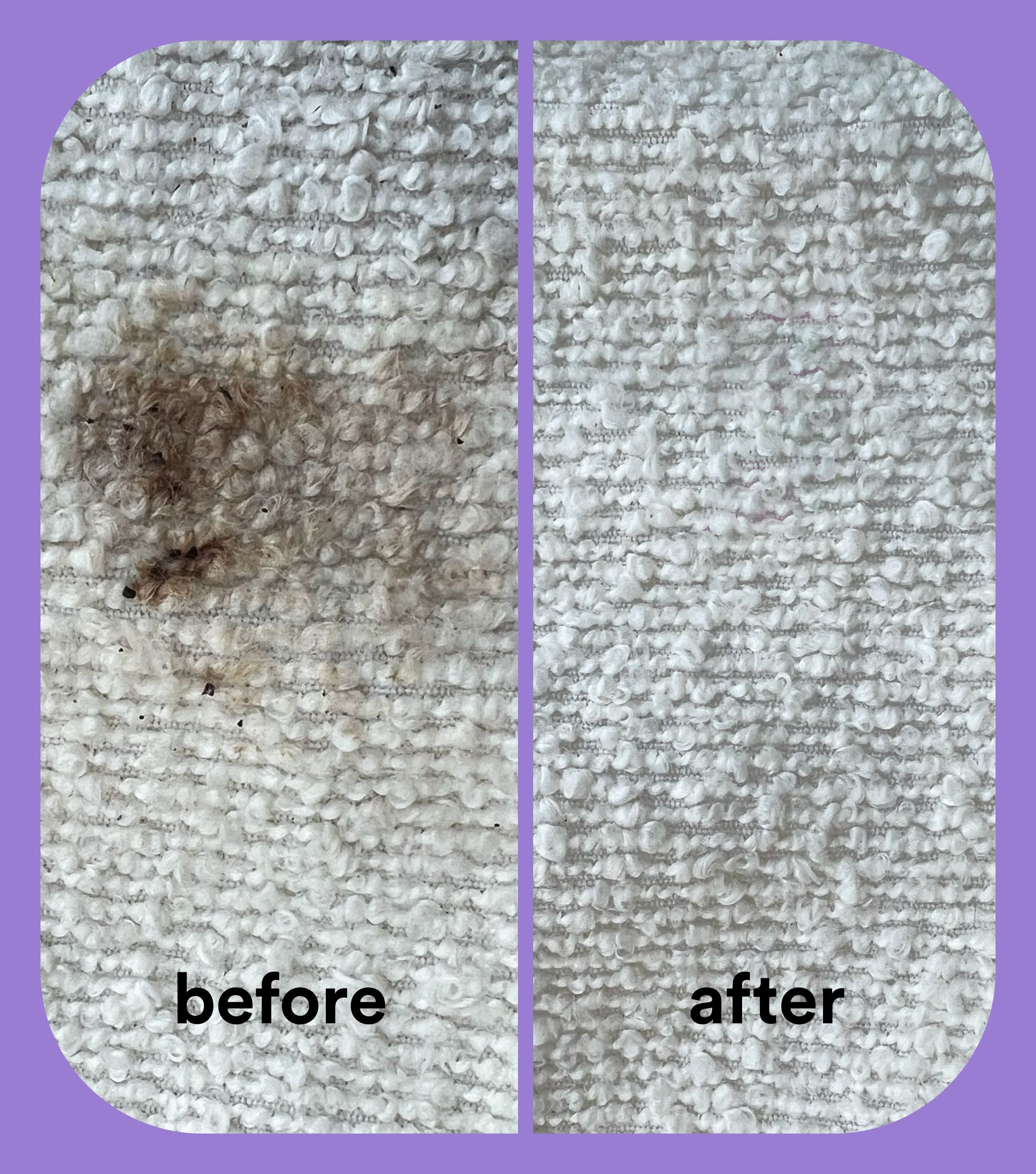 Complete Laundry Starter Kit