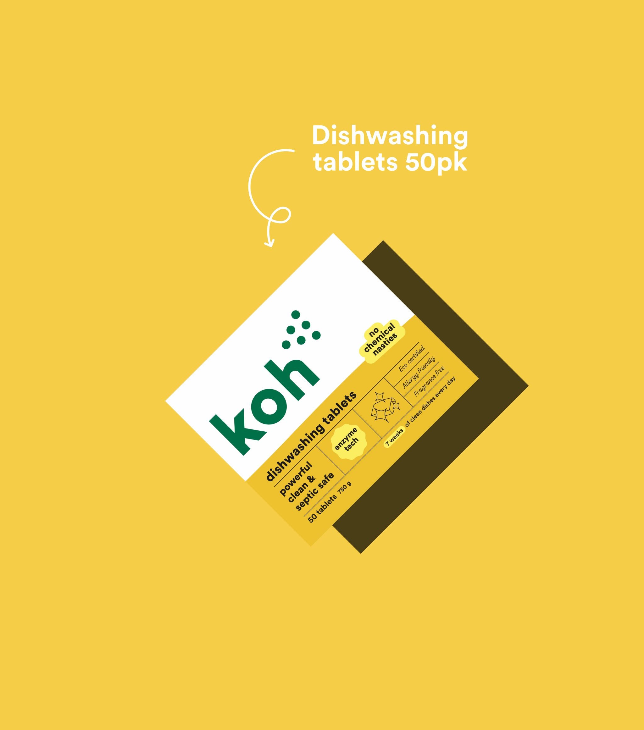 Whole Home Xmas Entertainer Kit