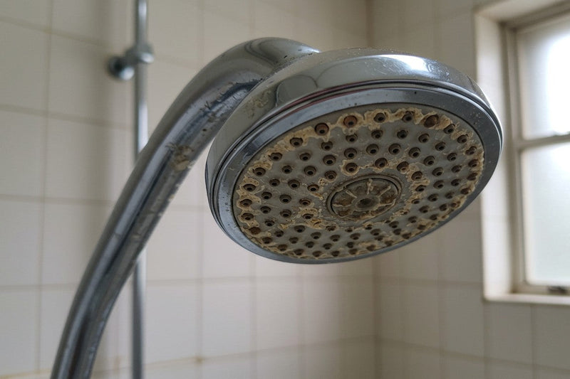 How to clean a shower head (remove limescale)
