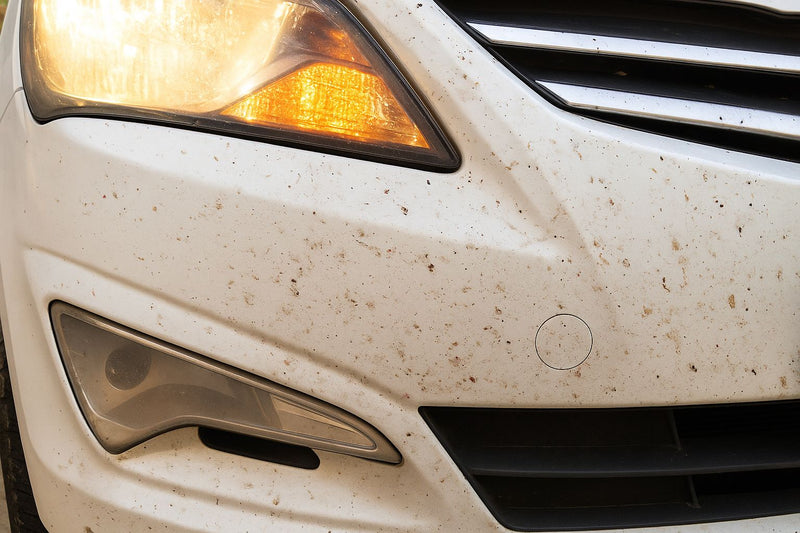 How to clean car bugs from car headlights and grill